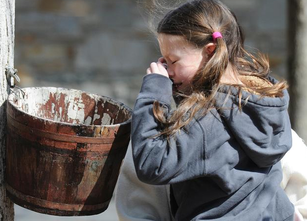 43rd Maple Syrup Festival showcases nature’s sweet side
