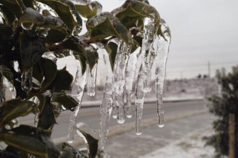 Wintry mix wraps up in DC area after icy morning on Christmas Eve