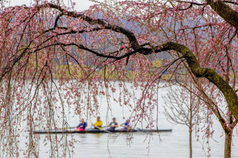 Potomac River gets highest ‘grade’ yet, but still not swimmable, fishable
