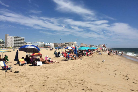 7 ways to celebrate Labor Day weekend at the beach