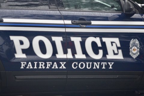 Police: Teens suspected of Tysons mall carjacking threw liquid candy on driver, told him it was ‘acid’