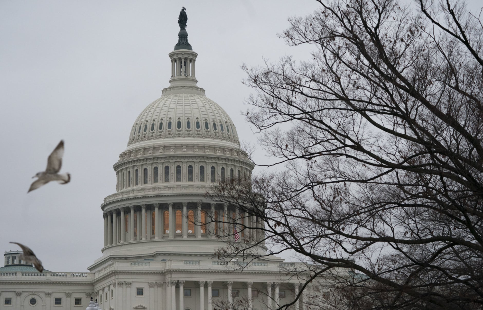 The U.S. Capitol is seen in Washington, Monday, Dec. 31, 2018, during a partial government shutdown. A high-stakes move to reopen the government will be the first big battle between Nancy Pelosi and Donald Trump as Democrats come into control of the House. The new Democratic House majority gavels into session this week with legislation to end the government shutdown. Pelosi and Trump both think they have public sentiment on their side in the battle over Trump's promised U.S.-Mexico border wall. (AP Photo/J. Scott Applewhite)