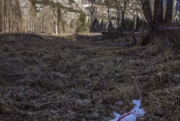 In this Monday, Dec. 31, 2018 photo provided by Dakota Snider shows trash tossed on the grounds in Yosemite National Park, Calif. Human feces, overflowing garbage, illegal off-roading and other damaging behavior in fragile areas were beginning to overwhelm some of the West's iconic national parks on Monday, as a partial government shutdown left the areas open to visitors but with little staff on duty. (Dakota Snider via AP)