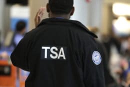 A Transportation Security Administration officer works at a checkpoint at Miami International Airport, Sunday, Jan. 6, 2019, in Miami. The TSA acknowledged an increase in the number of its employees calling off work during the partial government shutdown. (AP Photo/Lynne Sladky)