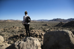 Trae Elliott visits Joshua Tree National Park in Southern California's Mojave Desert, Thursday, Jan. 10, 2019. The national park won't be closing because of the partial government shutdown after all. The desert preserve had planned to close on Thursday. As with other national parks, lack of staff had led to problems with human waste, trash and environmental damage. (AP Photo/Jae C. Hong)