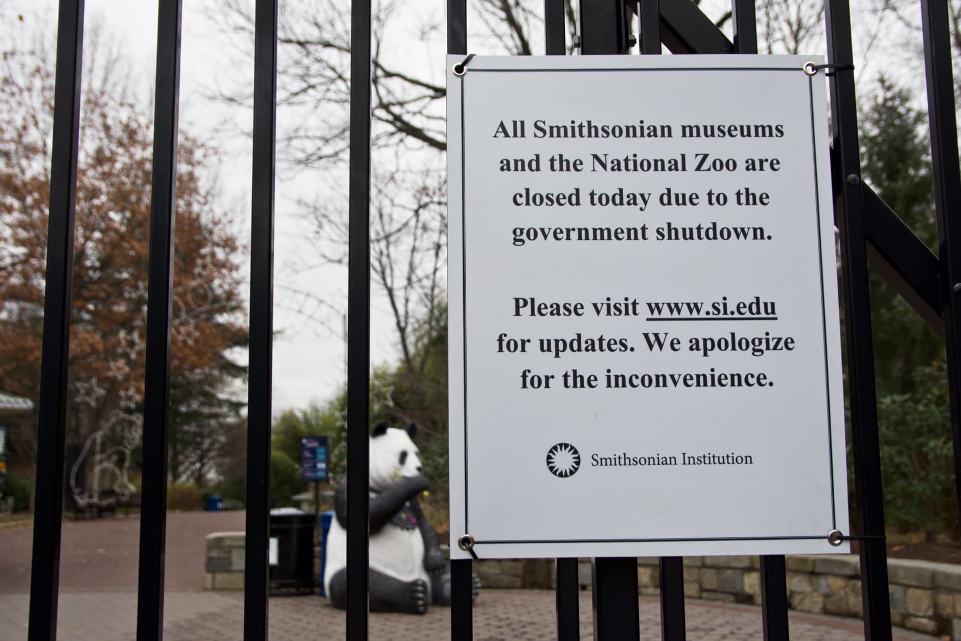The National Zoo is shuttered Tuesday, Jan. 2, 2019 during the government shutdown. (A young boy at the gates of the National Zoo on Tuesday, Jan. 2, 2019, during the government shutdown. (WTOP/Alejandro Alvarez)