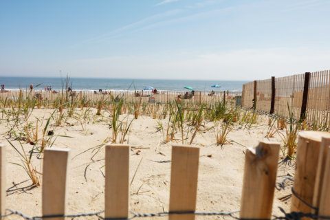 Rehoboth, Dewey, Lewes beach guide 2019