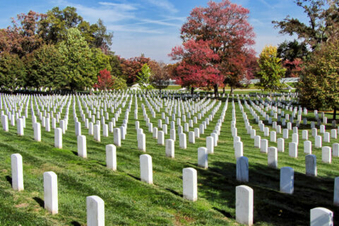 Arlington National Cemetery expansion prompts plans for road, land changes