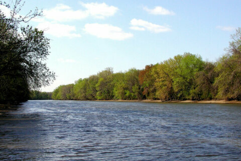 The results are in: Anacostia River gets a D-plus, but that’s an improvement