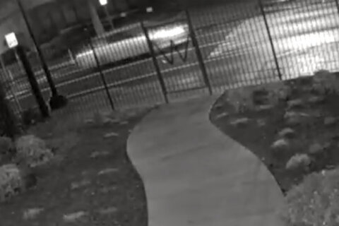 VIDEO: DC police seek 2 vehicles in deadly back-to-back hit-and-run crash