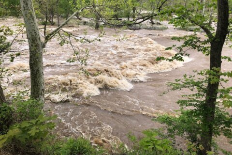 Alexandria settles lawsuit for coal tar clean up, Potomac river restoration