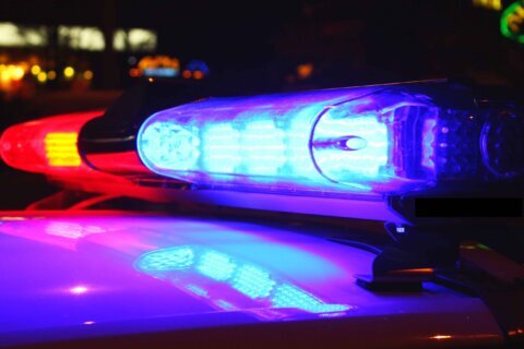 Postal Service looking for suspect who stole from letter carrier