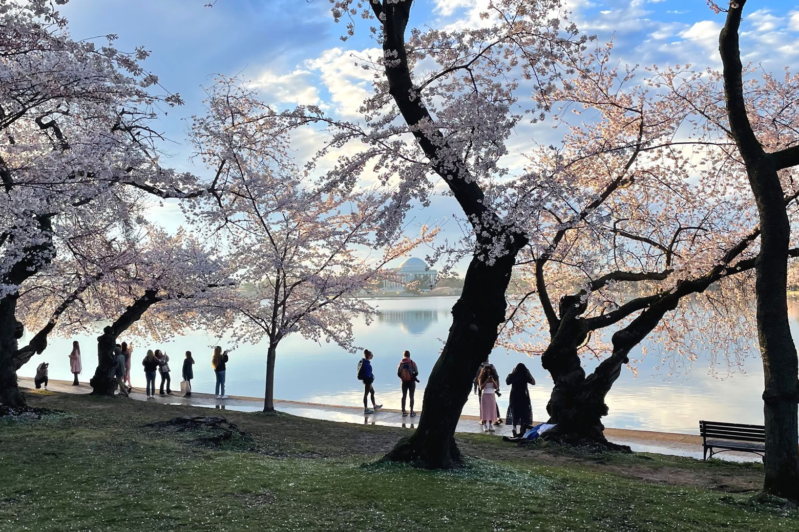 Visitors to the cherry trees along the Tidal Basin are seen in this 2022 photo. The cherry blossoms are predicted to hit peak bloom March 22-25. (Courtesy National Park Service)