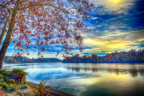 Once a ‘national disgrace,’ here’s how the Potomac River is rated for clean water now