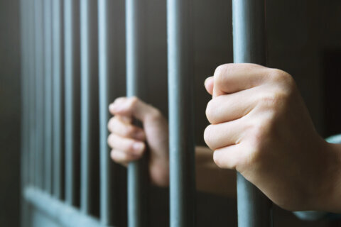 Man accused of breaking into Loudoun Co. Public Defender’s Office held without bond