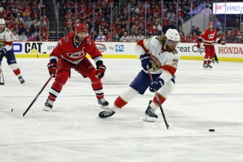 NHL reaches new golden age of brotherly love with 20 sets of siblings playing this season