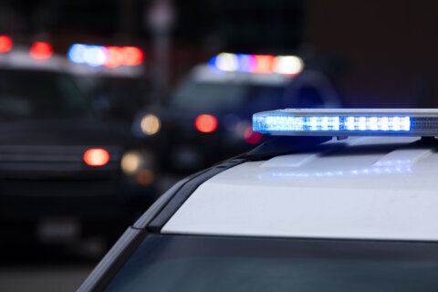Fairfax Co. police seek person of interest after woman found dead in tent at Burke Lake