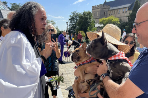 Blessing of the Animals