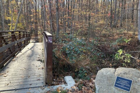 old rag bridge