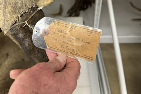Where the Smithsonian houses its treasures