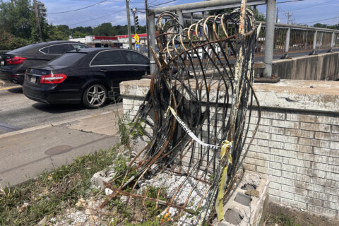 When a DC monument was struck in a vehicle crash, one Virginia man took the lead to save it