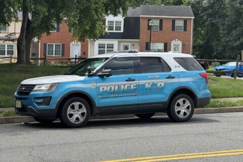 Manassas high school student reports sexual assault by suspect in animal mask