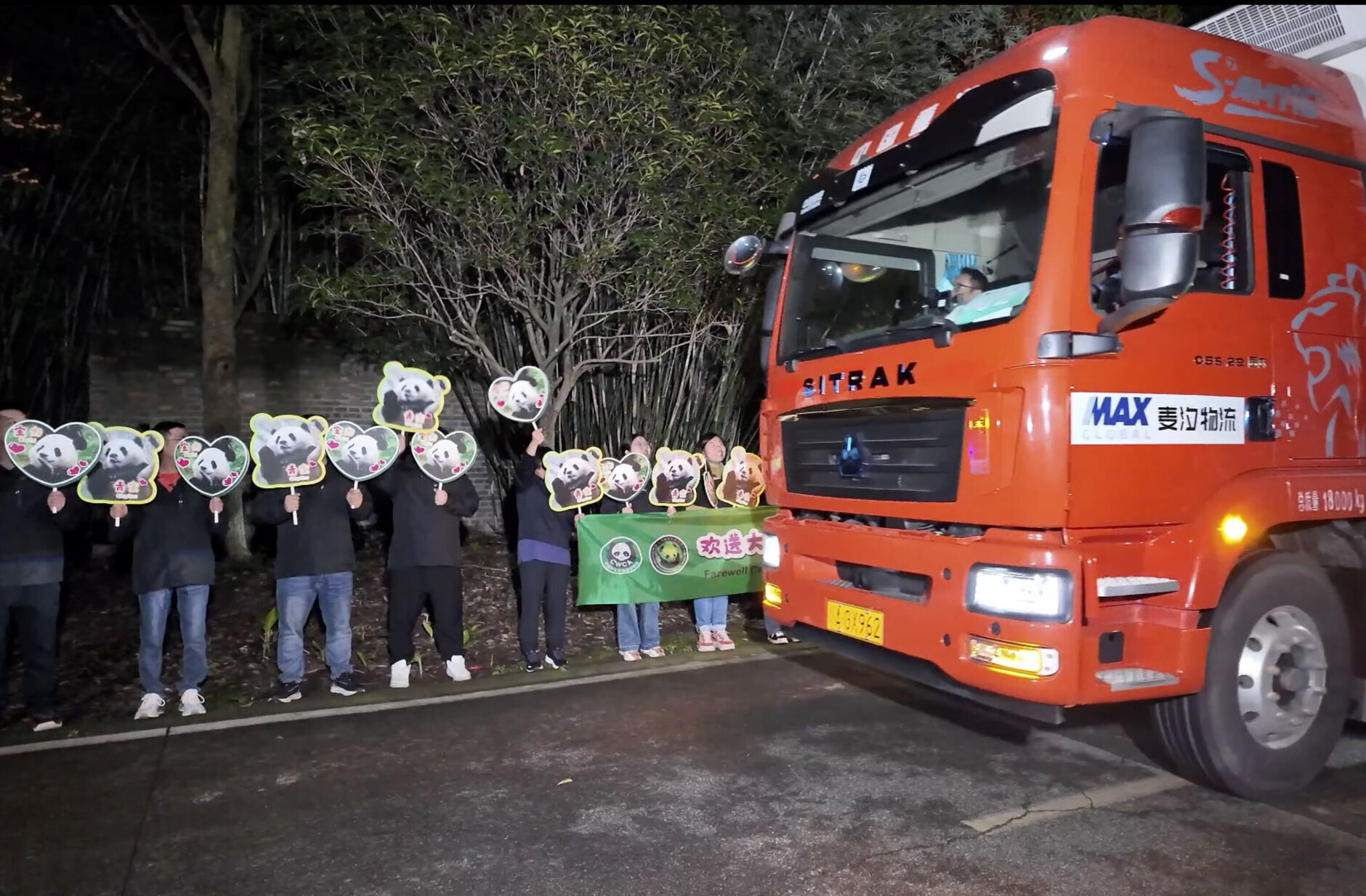 In this image taken from video and released by China's National Forestry and Grassland Administration, workers send off the pair of giant pandas Bao Li and Qing Bao from the Dujiangyan Base of the China Conservation and Research Center for the Giant Panda in southwestern China's Sichuan province on Monday, Oct. 14, 2024. (Jin Tao/China's National Forestry and Grassland Administration via AP)