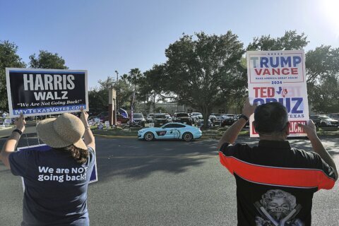 Democracy was a motivating factor for both Harris and Trump voters, but for very different reasons