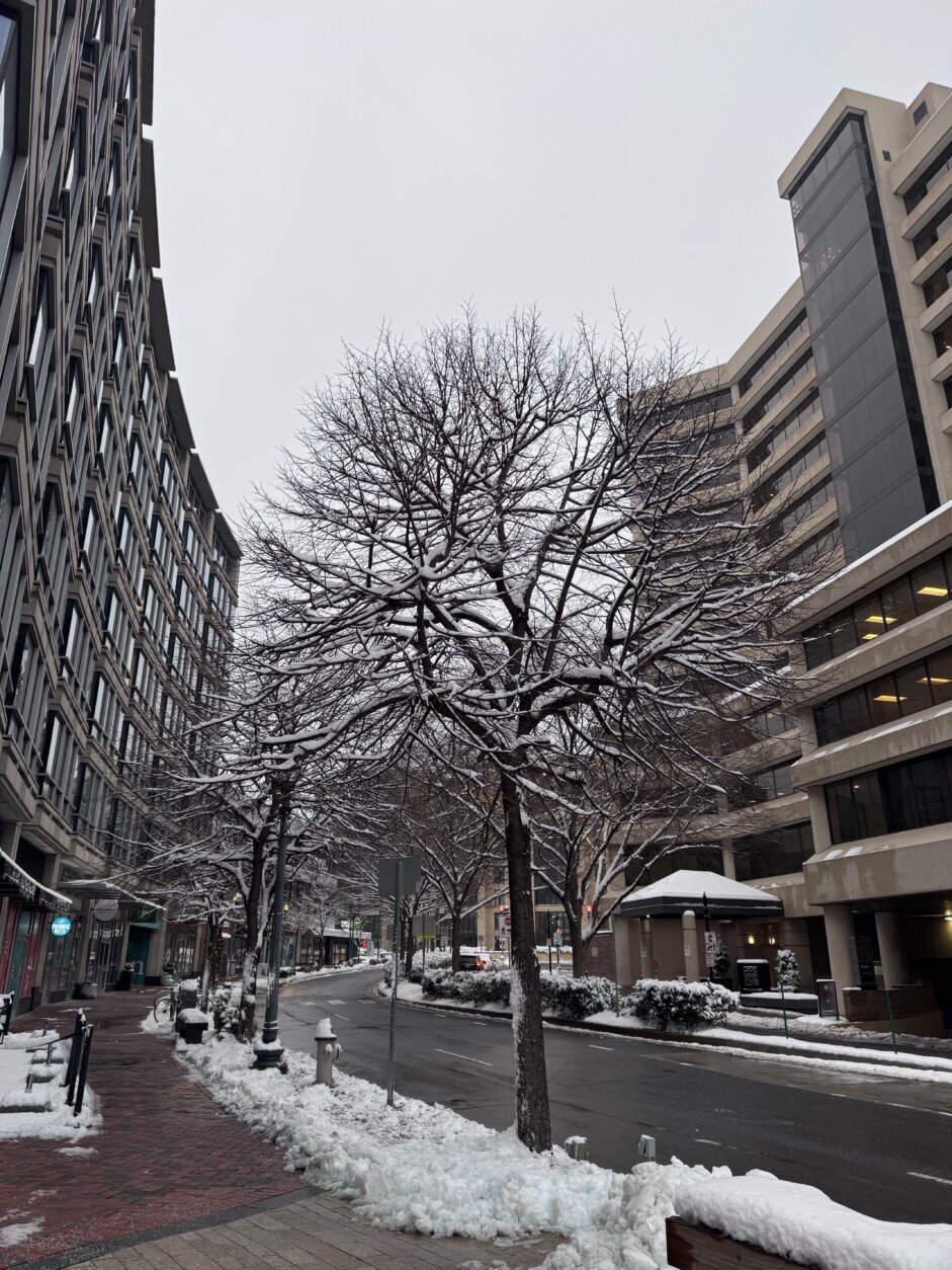 <p>Snow falls in D.C.</p>