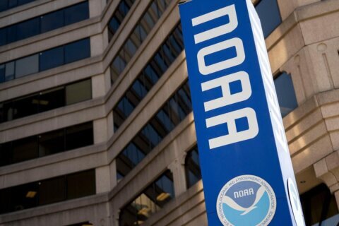 NOAA to potentially cut more than 1,000 additional employees