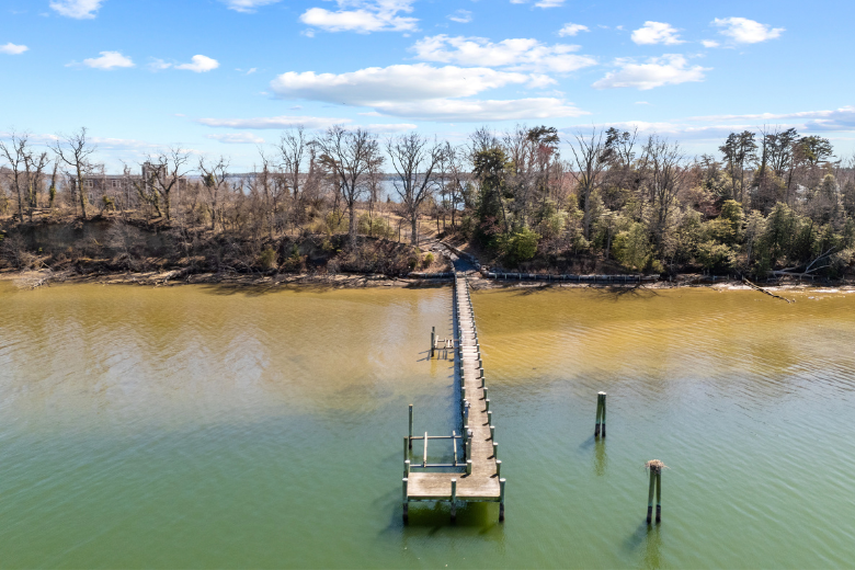 dobbins island listing