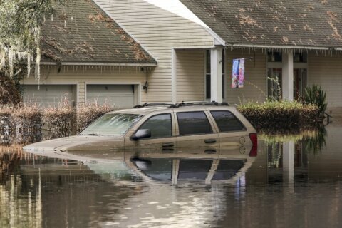 ‘Don’t get in my way,’ the new acting head of federal disaster agency warns in call with staff