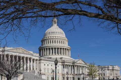 House Republicans look to help Trump strip tax-exempt status of nonprofits he says support terrorism