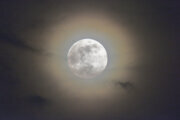 How to view the full flower moon in the DC area