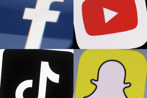 Georgia is the 8th state sued over age verification for children on websites