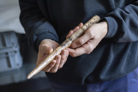 Scientists date the oldest known tools made from whale bones to 20,000 years ago