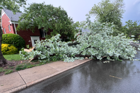 2 dead as damaging storms pack 80 mph wind gusts in DC region, downing trees onto cars and homes