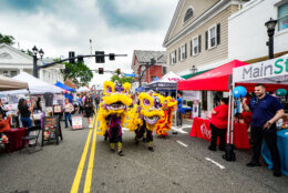 Asian Festival on Main